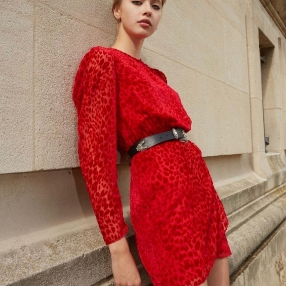 The Kooples Artichoke Burnout Velvet Leopard Red Mini Dress New Size Small - Picture 3 of 17